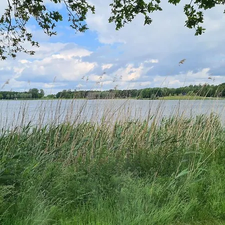 Gezellig 6pers Familiehuis Grote Tuin Met Bbq Aan Gelderland (adults Only) Ferienhaus Ewijk
