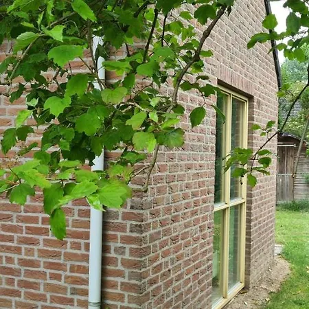 Kawatea Detached 4 Adults 2 Kids, Unique&very Child-friendly Hébergement de vacances *