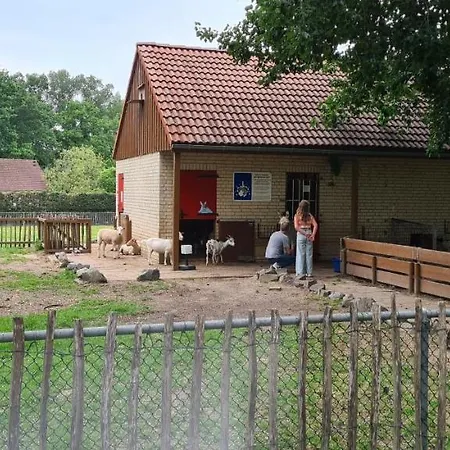 Ferienhaus Gezellig 6pers Familiehuis Grote Tuin Met Bbq Aan Gelderland (adults Only) *