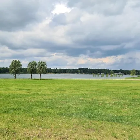 Gezellig 6pers Familiehuis Grote Tuin Met Bbq Aan Gelderland Ewijk