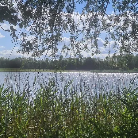 Gezellig 6pers Familiehuis Grote Tuin Met Bbq Aan Gelderland (adults Only)