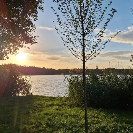 Gezellig 6pers Familiehuis Grote Tuin Met Bbq Aan Gelderland (adults Only) *