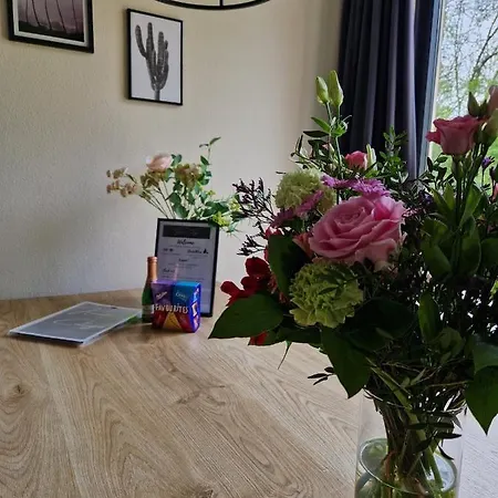 Gezellig 6pers Familiehuis Grote Tuin Met Bbq Aan Gelderland (adults Only) بيت للعطل