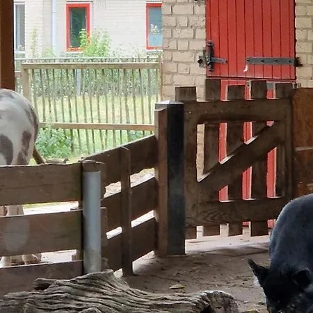 Gezellig 6pers Familiehuis Grote Tuin Met Bbq Aan Gelderland (adults Only)