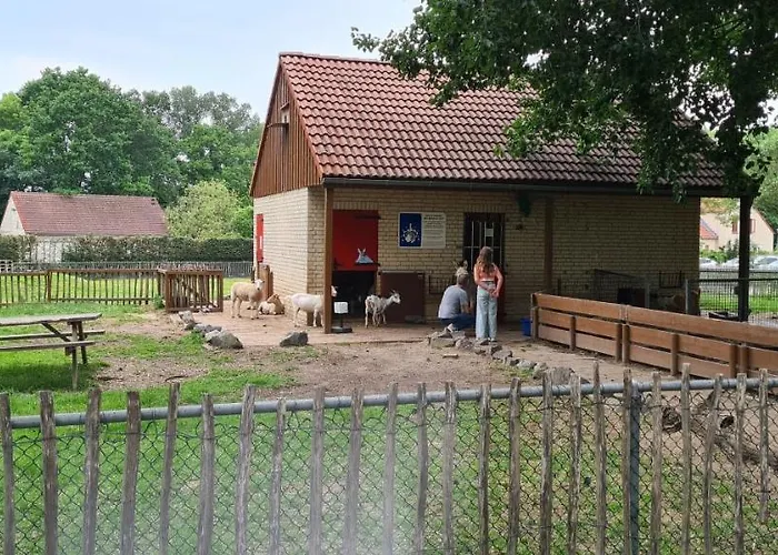 Feriehus Gezellig 6pers Familiehuis Grote Tuin Met Bbq Aan Gelderland (adults Only) *