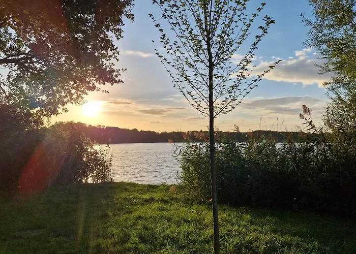 Gezellig 6pers Familiehuis Grote Tuin Met Bbq Aan Gelderland (adults Only) *