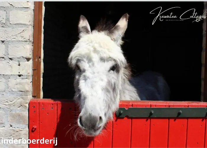 Gezellig 6pers Familiehuis Grote Tuin Met Bbq Aan Gelderland (adults Only) Ewijk