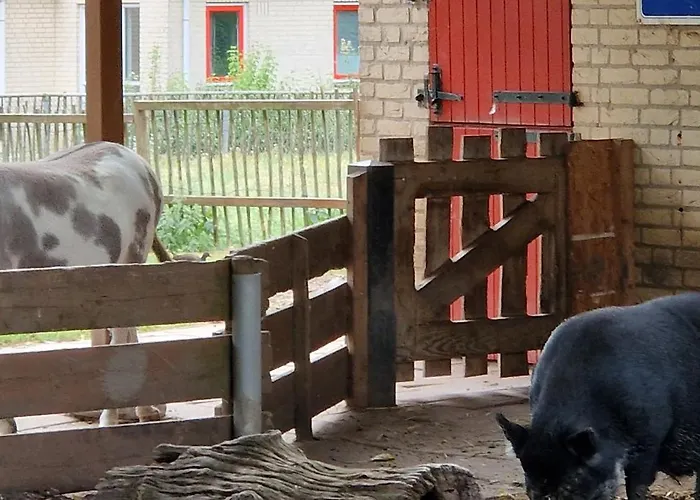 Gezellig 6pers Familiehuis Grote Tuin Met Bbq Aan Gelderland (adults Only)