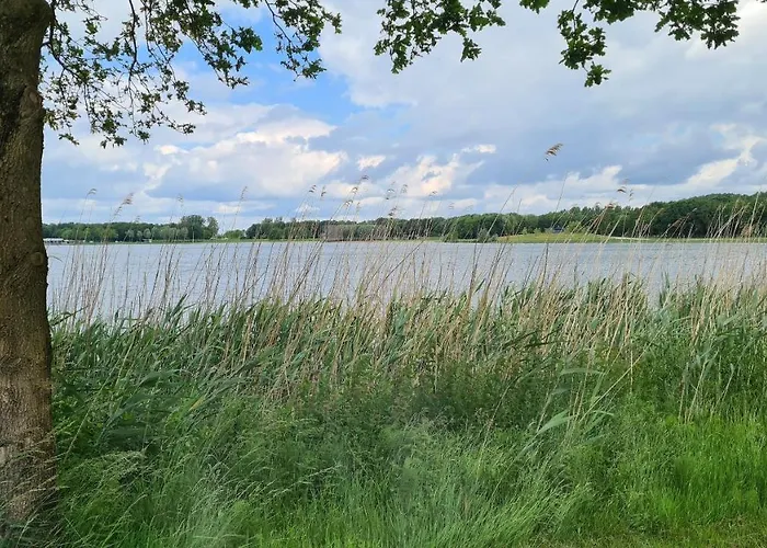 Gezellig 6pers Familiehuis Grote Tuin Met Bbq Aan Gelderland (adults Only) Сasa de vacaciones Ewijk