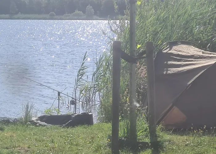 Gezellig 6pers Familiehuis Grote Tuin Met Bbq Aan Gelderland (adults Only) *